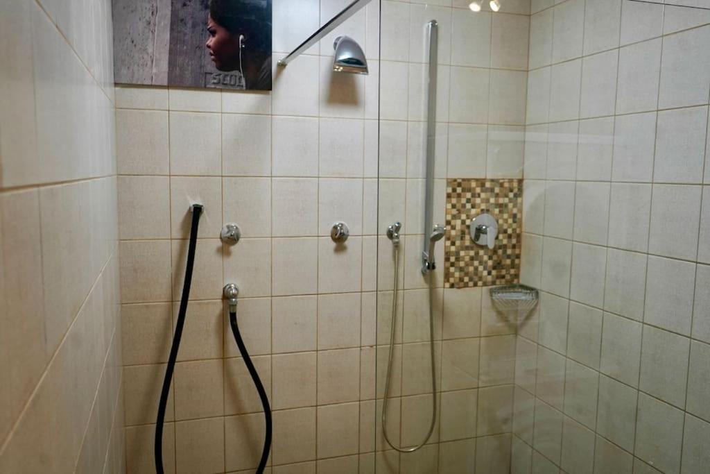 Helle Kellerwohnung Im Gruenen Mit Sauna Apartment Köln